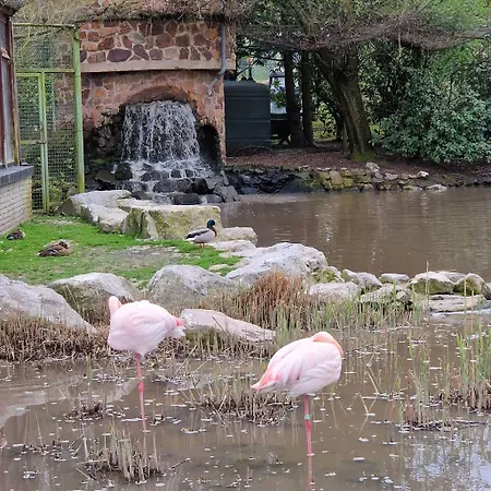 Tranquil Retreat In Hamoir, Belgium - Perfect For Families Friends *